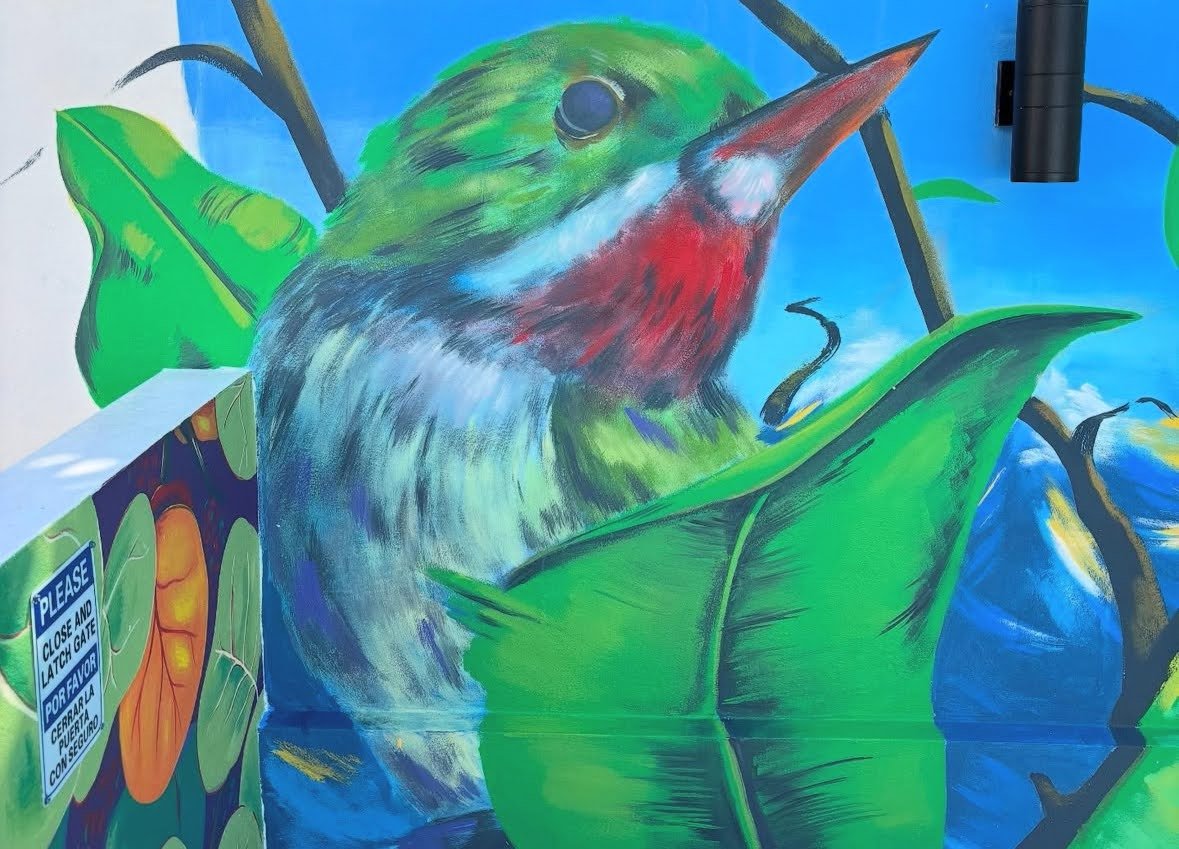 Murals 31